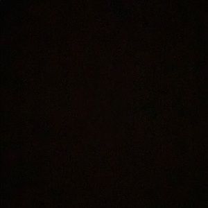 Meet your Posher, Sienna